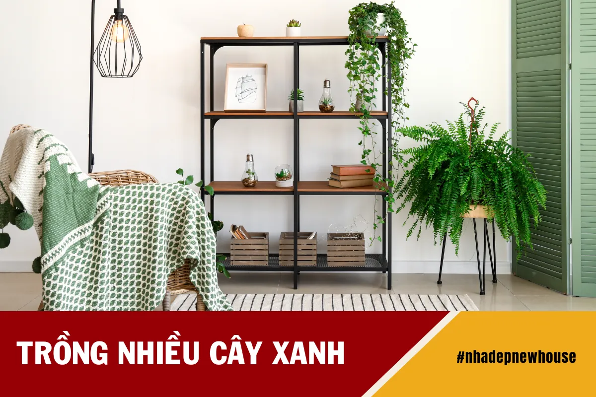 Nhà Đẹp Mùa Hè - Giải Pháp Tránh Nóng Hiệu Quả 3 2 2.png